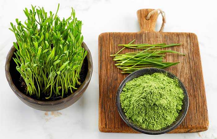 39 migliori benefici della polvere Wheatgrass per la pelle, i capelli e la salute