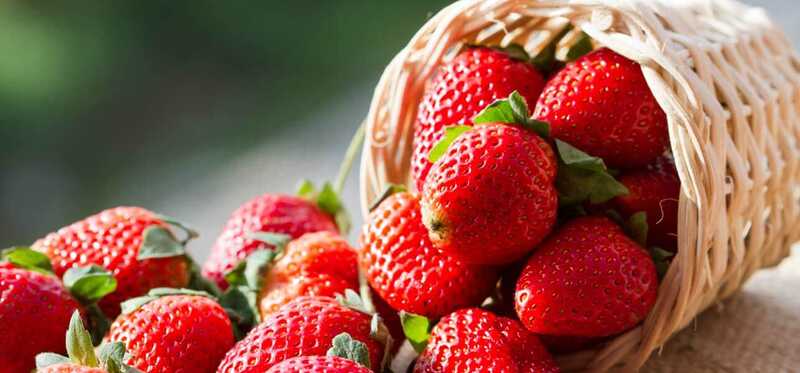 15 migliori fonti di antiossidanti