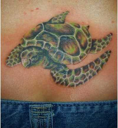 I migliori tatuaggi in tartaruga - i nostri primi 10