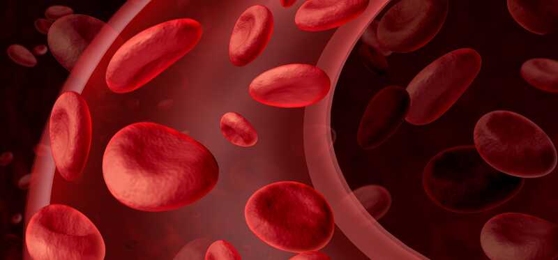 Come migliorare la circolazione sanguigna nel corpo - 18 efficaci rimedi domestici