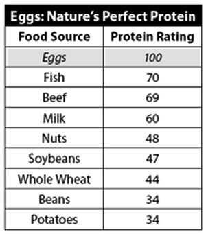 Tabella della proteina d'uovo - quante proteine ​​contiene l'uovo?