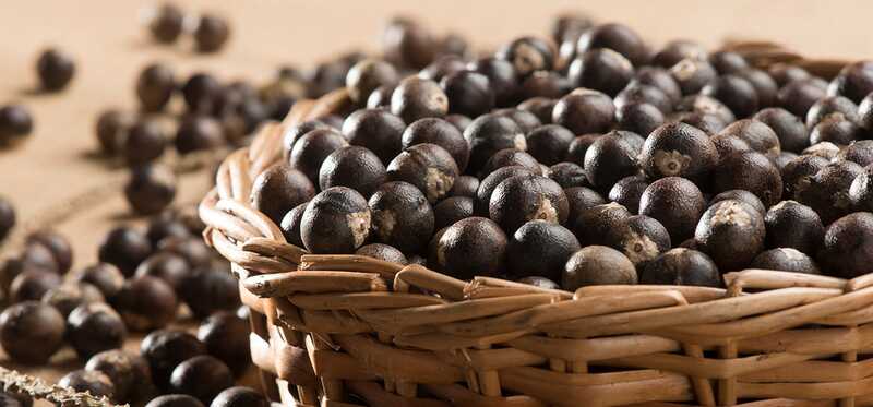 29 benefici incredibili e gli usi di Acai Berries (Karvandha) per la pelle, i capelli e la salute