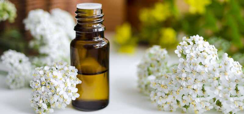 10 eccezionali benefici per la salute e la bellezza dell'olio essenziale di Yarrow