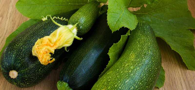 10 vantaggi per la salute di Marrow Vegetable