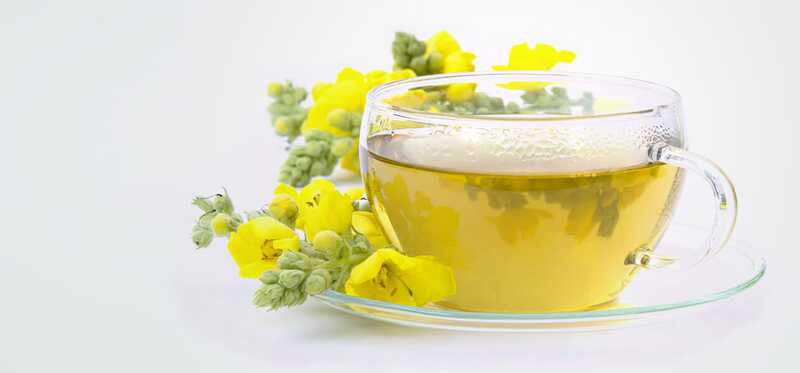 10 incredibili benefici per la salute del tè Mullein