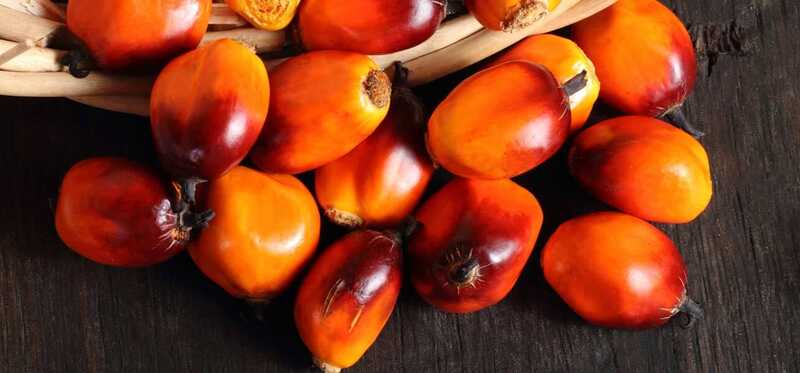 10 vantaggi per la salute di Peach Palm Fruit