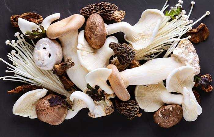 Top 25 sano ricette di funghi È necessario provare