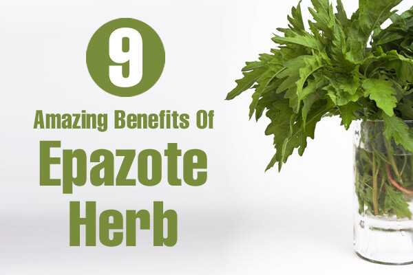 9 vantaggi straordinari di Epazote Herb per la pelle, i capelli e la salute