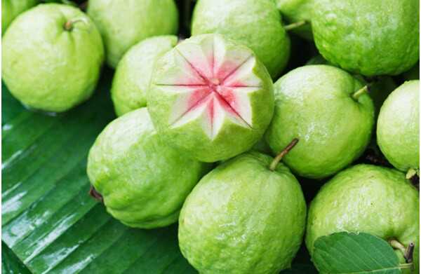 31 benefici incredibili di Guava (Amrood) per la pelle, i capelli e la salute