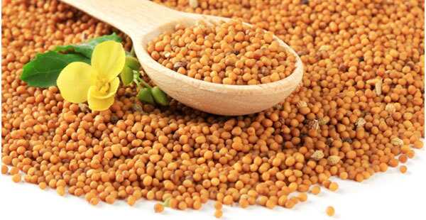 17 benefici incredibili di semi di senape (Rai) per la pelle, i capelli e la salute
