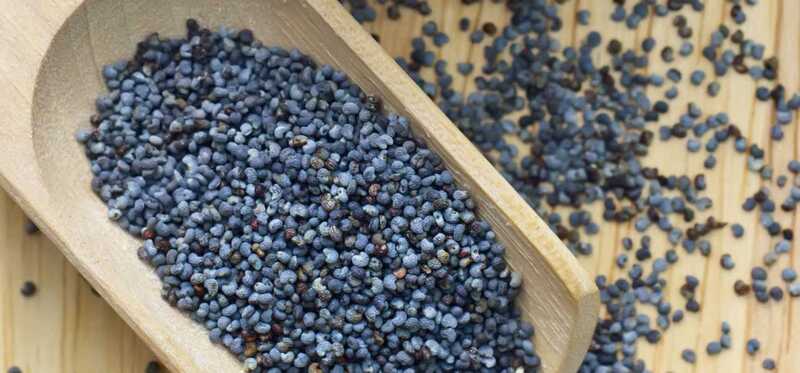 15 benefici incredibili dei semi di papavero (Khus Khus)