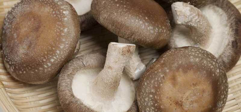 12 vantaggi straordinari di Shiitake Funghi per la pelle e la salute