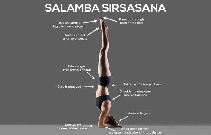 Come fare la Salamba Sirsasana e quali sono i suoi vantaggi