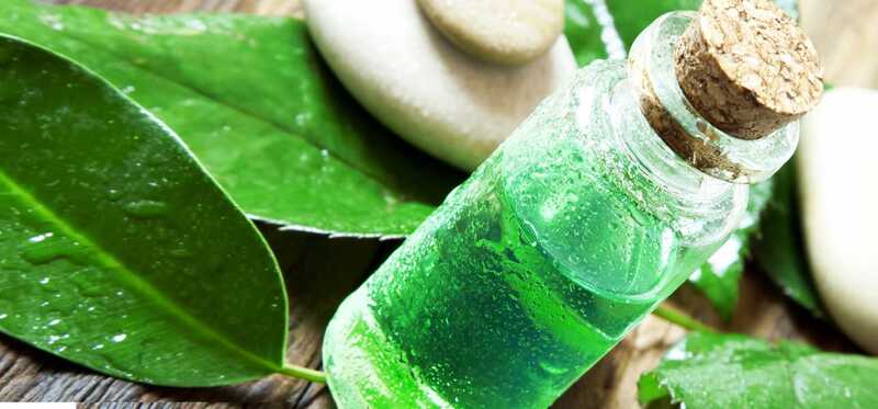 28 benefici incredibili del tè Olio di albero per la pelle, i capelli e la salute