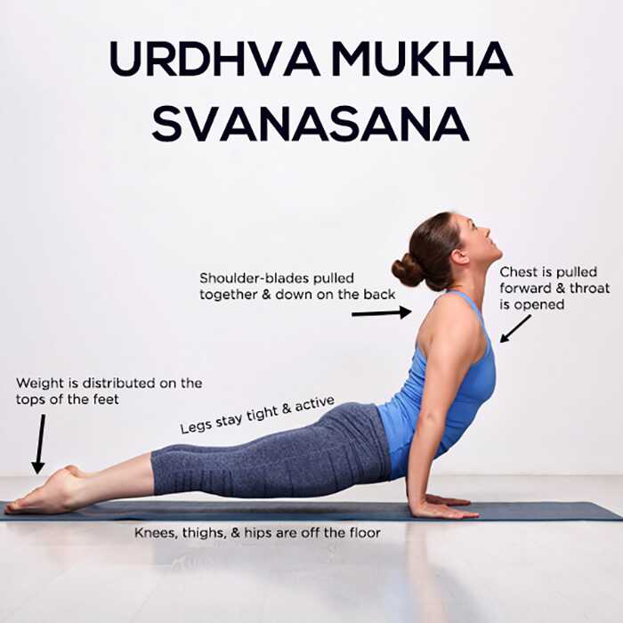 Come fare la Urdhva Mukha Svanasana e quali sono i suoi vantaggi