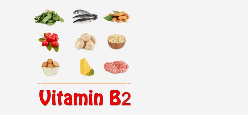 I cibi ricchi di vitamina B2 dovrebbero essere inclusi nella vostra dieta