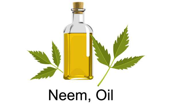 10 modi in cui l'olio di Neem può ridurre il forfora