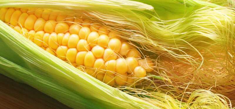 10 vantaggi straordinari di Corn Silk