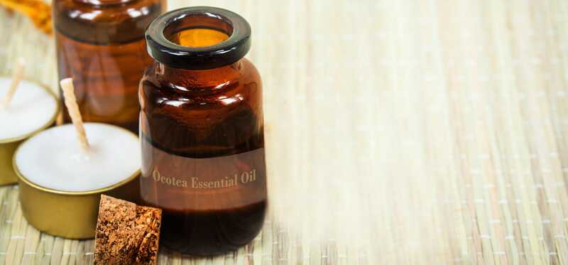 10 benefici incredibili dell'olio essenziale di Ocotea
