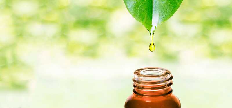 Top 10 benefici dell'olio essenziale di Ravintsara