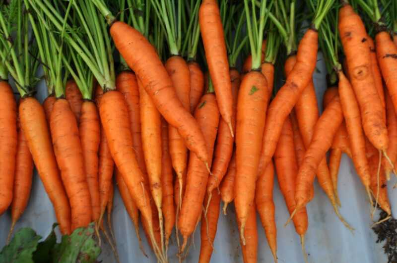 Com les pastanagues poden equilibrar les seves hormones per millorar la pell