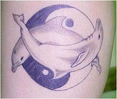 Beste Dolphin Tattoo Designs - unsere Top 10