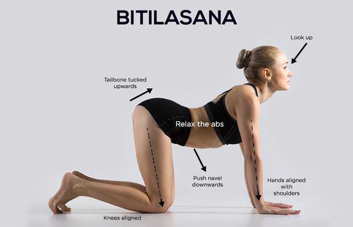 Sådan laver du Bitilasana og Hvad er dens fordele