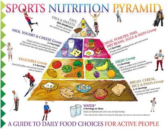 Grafik nutrisi olahraga - apa yang termasuk dalam diet Anda?