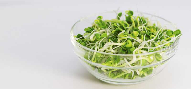 23 erstaunliche Vorteile von Alfalfa für Haut, Haare und Gesundheit