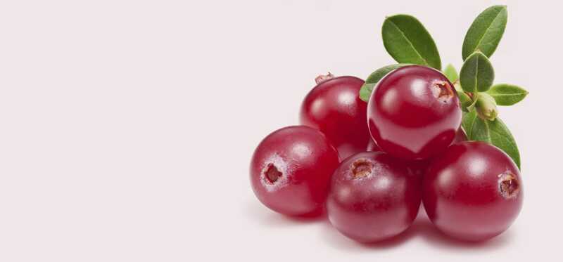19 beneficii uimitoare de Cranberries pentru piele, păr și sănătate