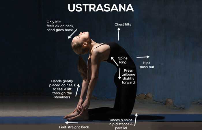 Hvordan man gør Ustrasana og Hvad er dens fordele