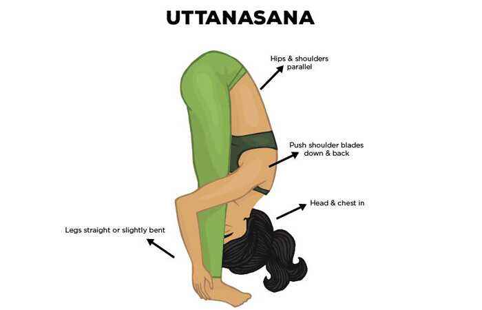 Ako urobiť Uttanasana a aké sú jej výhody